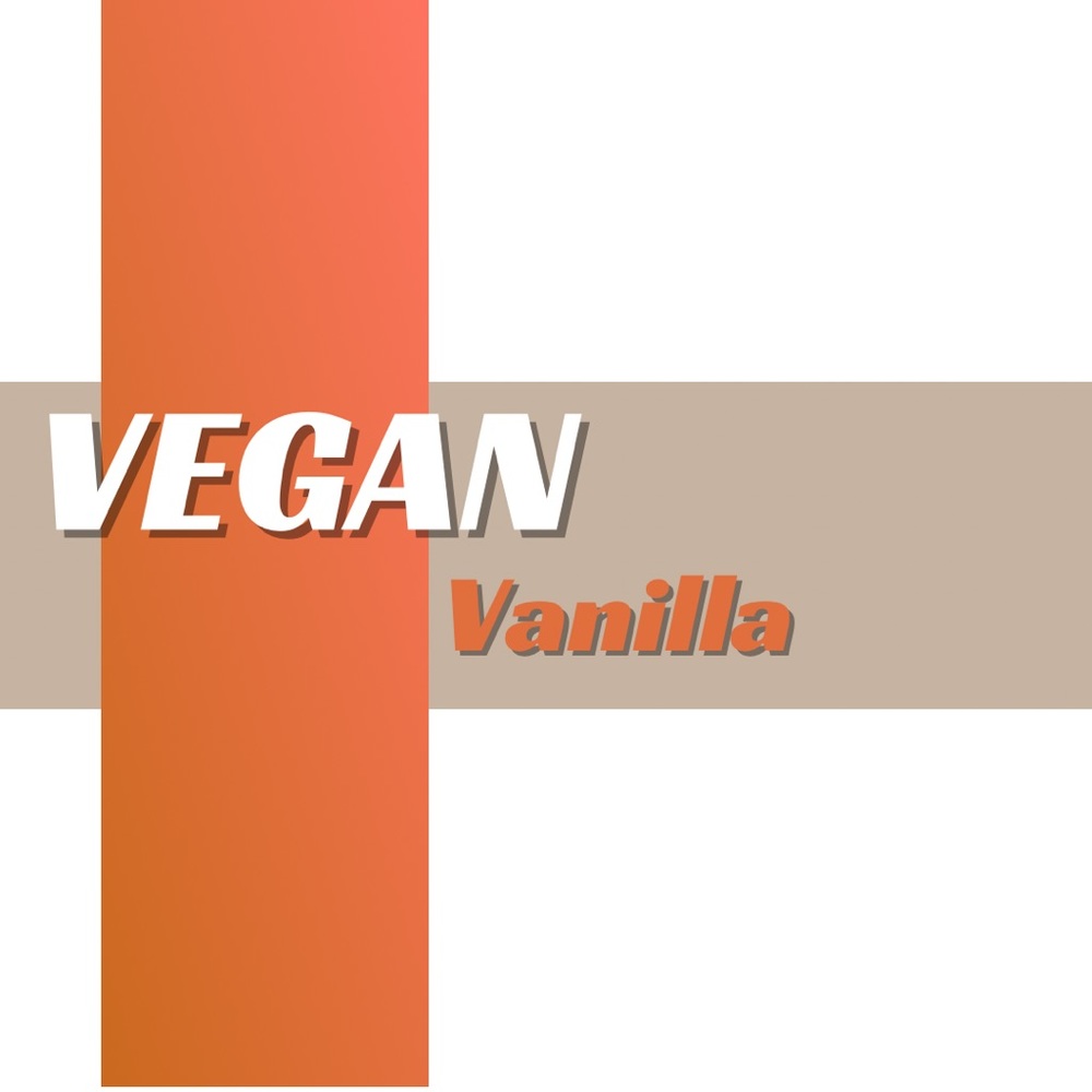 VEGAN Vanilla Shake Mix - 8 Single Serving Packets- SAMPLE PACKS